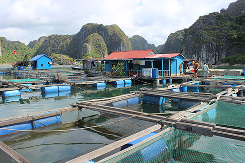 About Catba Island